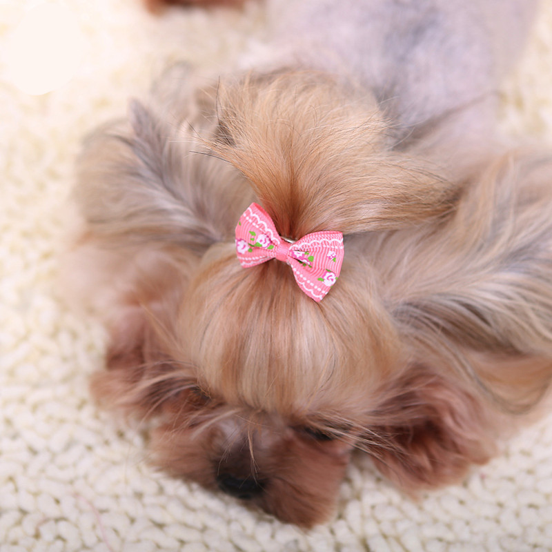 Prendedor de cabelo para cacho - Pet Supplies York avaliação e preço