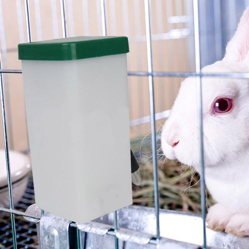 Bebedouro Portátil para Pets:  - Pet Supplies App avaliação e preço