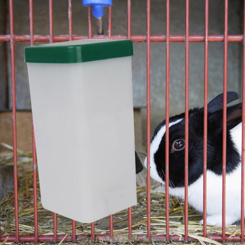 Bebedouro Portátil para Pets:  - Pet Supplies App avaliação e preço