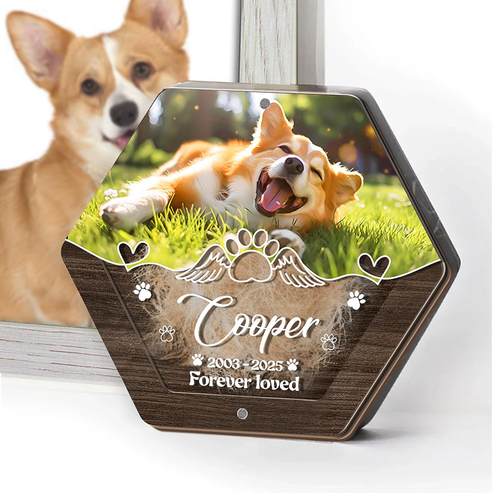 Nome personalizado escultura e - Pet Supplies App avaliação e preço