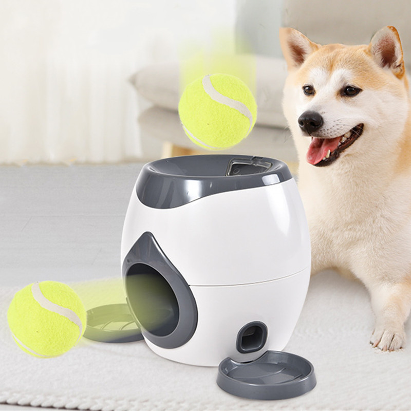 Brinquedo Interativo 2 em 1 pa - Pet Supplies Rewards avaliação e preço