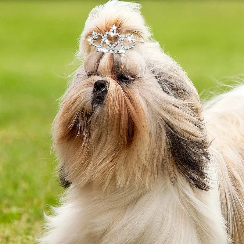 Delicado Cristal Cão Hairpin,  - Pet Supplies York avaliação e preço