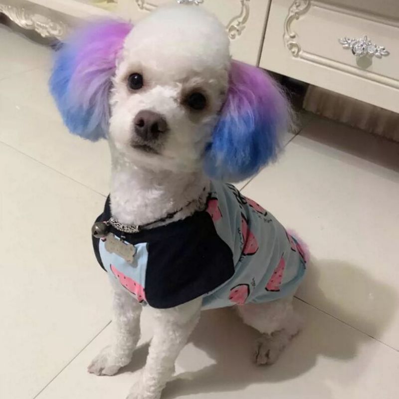 Semi Permanente Pet Dye Cream, - Pet Supplies App avaliação e preço