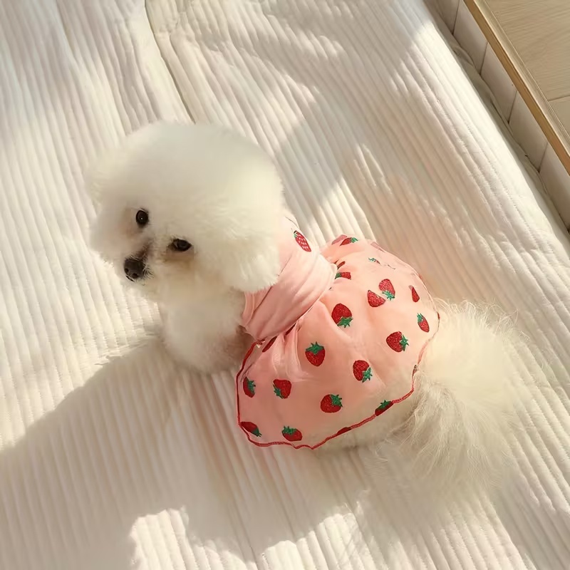 Verão fino filhote de cachorro - Pet Supplies York avaliação e preço