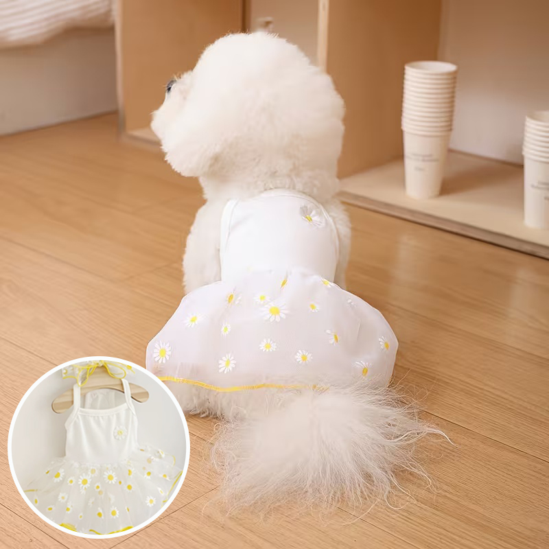 Verão fino filhote de cachorro - Pet Supplies York avaliação e preço
