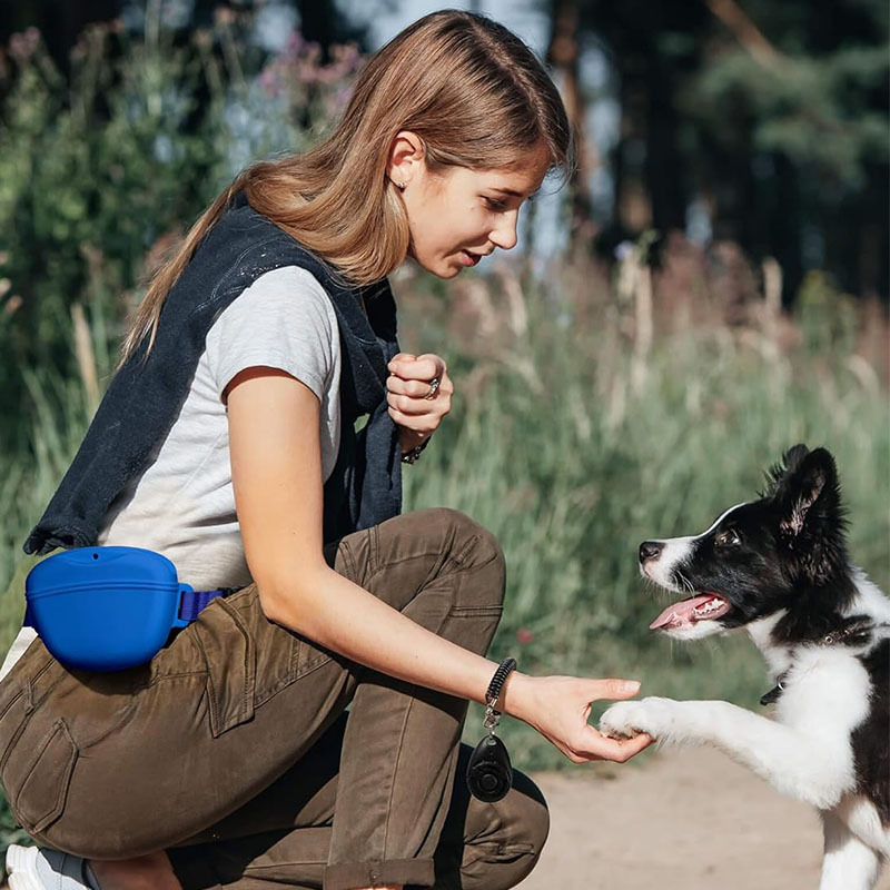 Saco de silicone para treiname - Pet Supplies Rewards avaliação e preço