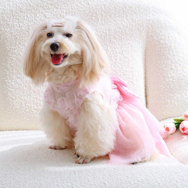 Saia Fina de Princesa para Cãe - Pet Supplies York avaliação e preço