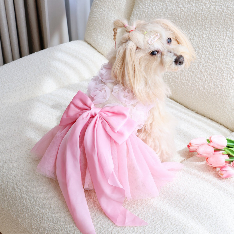 Saia Fina de Princesa para Cãe - Pet Supplies York avaliação e preço