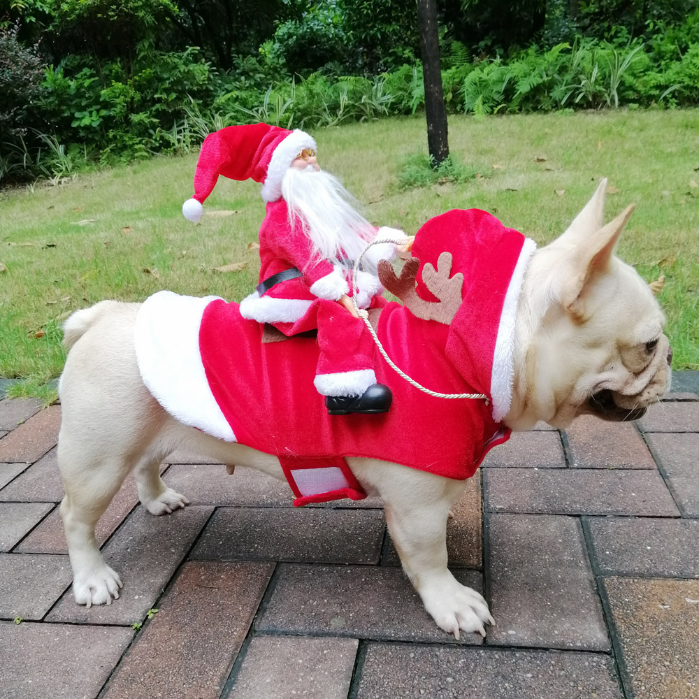 Inverno feliz ano novo traje p - Pet Supplies York avaliação e preço