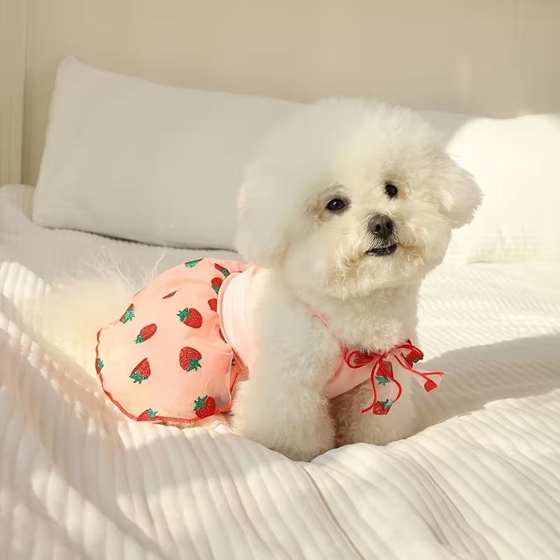 Verão fino filhote de cachorro - Pet Supplies York avaliação e preço